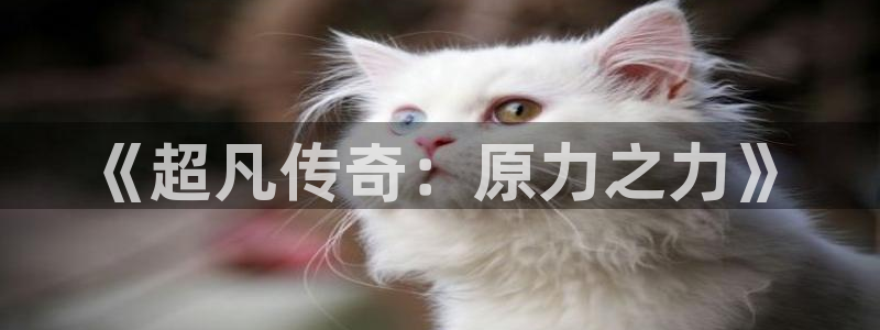 羞羞漫画歪歪漫画首页：《超凡传奇：原力之力》